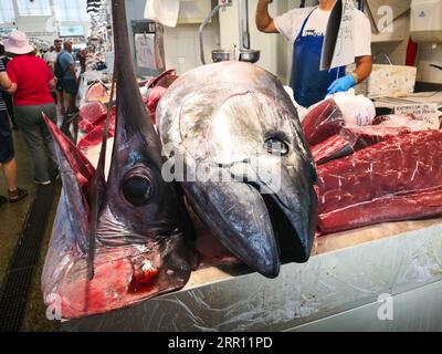 Cadiz, Spain - August 03, 2023: Cadiz Fish Market. Stunning Fresh fish stall in The Central Market of Cádiz, Andalusia, Spain. Stock Photo