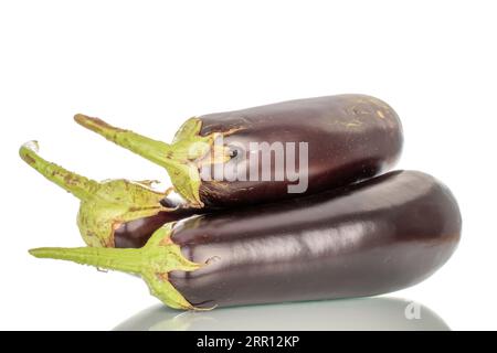 Three ripe eggplants, macro, isolated on white background. Stock Photo