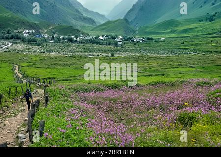 Trekking to Sukhnai village, Warwan Valley, Kashmir, India Stock Photo