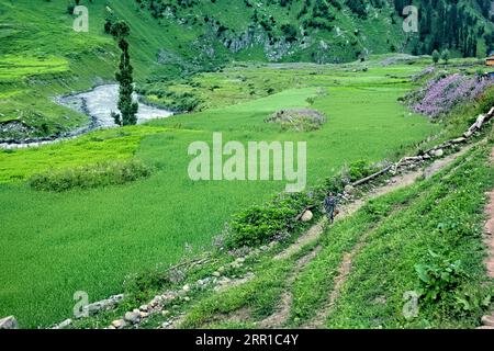 Trekking to Sukhnai village, Warwan Valley, Kashmir, India Stock Photo