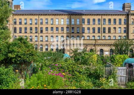 Saltaire allotments, for those living in Saltaire village, built by Titus Salt. His huge factory Salts Mill built in 1852 is in the background. Stock Photo