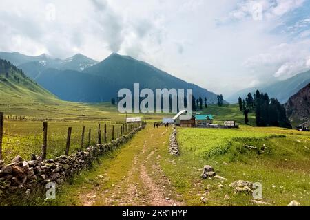 Trekking through the beautiful verdant Warwan Valley, Kashmir, India Stock Photo