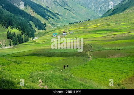 Trekking through the beautiful verdant Warwan Valley, Kashmir, India Stock Photo