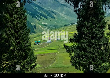 Trekking through the beautiful verdant Warwan Valley, Kashmir, India Stock Photo