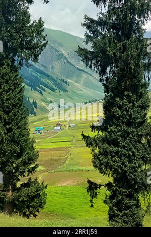 Trekking through the beautiful verdant Warwan Valley, Kashmir, India Stock Photo