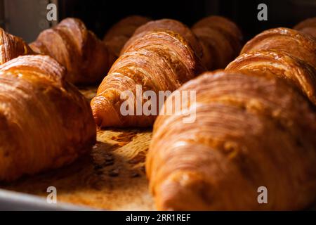 Closeup of freshly baked delicious crunchy croissants placed on metallic tray by oven in kitchen bakery Stock Photo