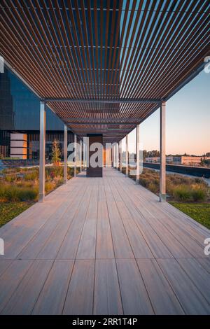 Exterior of modern wooden walkway with columns near green grass shrubs river and connecting corporate buildings with open access against cloudless blu Stock Photo