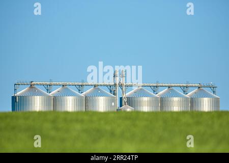 Agricultural Silos - Building Exterior, Storage and drying of grains, wheat, corn, soy, sunflower against the blue sky with wheat fields Stock Photo