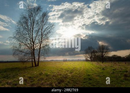 Sun glare in the sky with clouds over a meadow with trees, eastern Poland Stock Photo