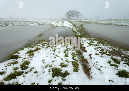 Little snow and frozen water in a farmland, view on a foggy January day, eastern Poland Stock Photo