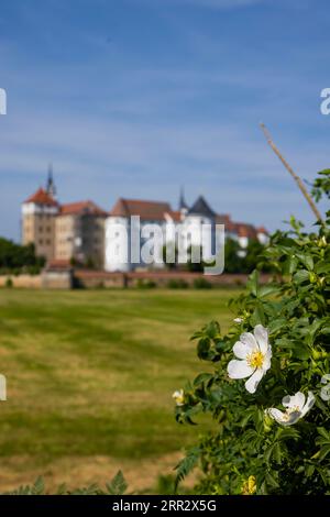 teilzeitjobs torgau