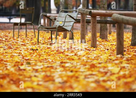 201023 -- PARIS, Oct. 23, 2020 -- Fallen leaves are seen at the Luxembourg park in Paris, France, Oct. 23, 2020.  FRANCE-PARIS-AUTUMN-SCENERY GaoxJing PUBLICATIONxNOTxINxCHN Stock Photo