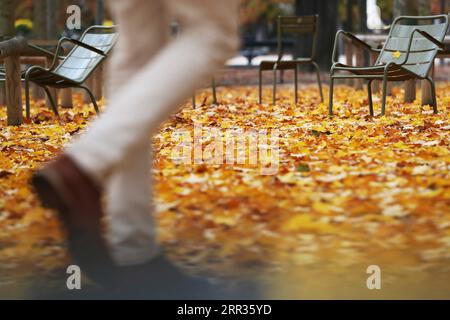 201024 -- BEIJING, Oct. 24, 2020 -- Fallen leaves are seen at the Luxembourg park in Paris, France, Oct. 23, 2020.  XINHUA PHOTOS OF THE DAY GaoxJing PUBLICATIONxNOTxINxCHN Stock Photo