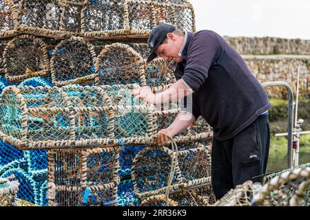 Young man repairing lobster pot, cage or creel in harbour, St Andrews, Fife, Scotland, UK Stock Photo