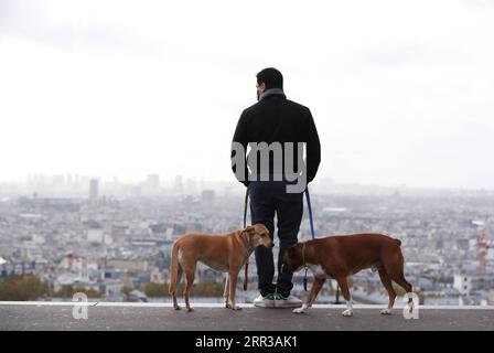 201029 -- PARIS, Oct. 29, 2020 -- A man walks his dogs at the Montmartre, Paris, France, Oct. 28, 2020. France will go into national lockdown starting from Friday to stem the second wave of the coronavirus epidemic, President Emmanuel Macron announced on Wednesday evening. France on Wednesday recorded 36,437 new COVID-19 infections, 3,020 more than the number registered in the previous 24 hours. The cumulative number of coronavirus cases soared to 1,235,132, including 35,785 deaths, up by 244 in one day, figures released by Public Health Agency showed.  FRANCE-PARIS-LOCKDOWN GaoxJing PUBLICATI Stock Photo