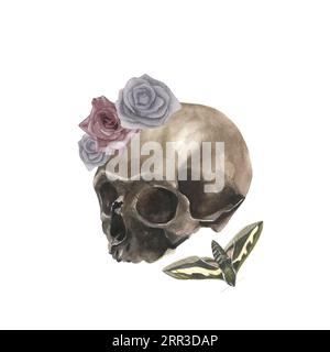 Watercolor illustration of a skull, moth and dusty roses. Isolated on a white background, hand-drawn Stock Photo