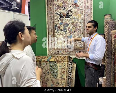 Beijing, China. 3rd Sep, 2023. This cellphone photo shows an exhibitor (R) from Pakistan presenting carpets to visitors during the 2023 China International Fair for Trade in Services (CIFTIS) in Beijing, capital of China, Sept. 3, 2023. TO GO WITH 'China Focus: Countries along Belt and Road share service trade dividends' Credit: Wei Mengjia/Xinhua/Alamy Live News Stock Photo