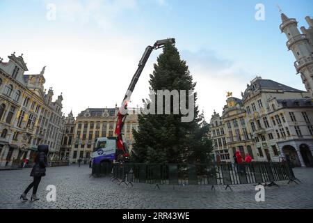 201119 -- BRUSSELS, Nov. 19, 2020 -- Workers install a Christmas tree at the Grand Place of Brussels, Belgium, Nov. 19, 2020. This year s Christmas tree is 18m high, and will be decorated in the theme of renewal .  BELGIUM-BRUSSELS-CHRISTMAS TREE ZhengxHuansong PUBLICATIONxNOTxINxCHN Stock Photo