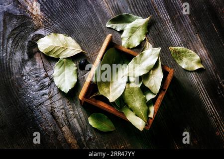 Bay leaves in a small wooden drawer on a wooden background Stock Photo