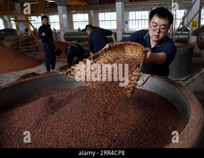 201129 -- GUIZHOU, Nov. 29, 2020 -- Hu Meng R, 26, works at a distillery in Maotai town of Renhuai, southwest China s Guizhou Province, Nov. 28, 2020. Hu graduated from Xihua University in southwestern Chinese city Chengdu and has been working here since this September. Maotai is a small town in Renhuai City in mountainous Guizhou. What distinguishes it from other towns is that it produces a famous brand of Chinese liquor Moutai. The spirit, made from sorghum and wheat, takes up to one year for the whole production process, involving nine times of steaming, eight times of fermentation and seve Stock Photo