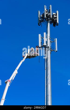 Cell phone tower technician and worker undertake repairs on a cell tower cluster in Victoria, Australia, with a blue sky background. Stock Photo