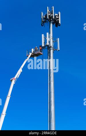 Cell phone tower technician and worker undertake repairs on a cell tower cluster in Victoria, Australia, with a blue sky background. Stock Photo