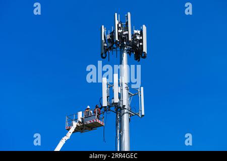 Cell phone tower technician and worker undertake repairs on a cell tower cluster in Victoria, Australia, with a blue sky background. Stock Photo