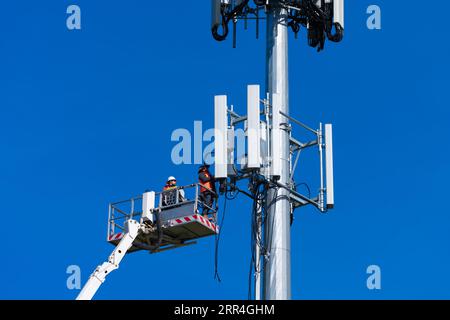 Cell phone tower technician and worker undertake repairs on a cell tower cluster in Victoria, Australia, with a blue sky background. Stock Photo