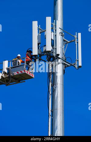 Cell phone tower technician and worker undertake repairs on a cell tower cluster in Victoria, Australia, with a blue sky background. Stock Photo