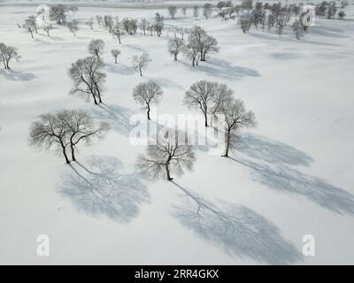 201204 -- CHENGDE, Dec. 4, 2020 -- Aerial photo taken on Dec. 4, 2020 shows the winter scenery of Yudaokou pasture in Chengde City, north China s Hebei Province. Photo by /Xinhua CHINA-HEBEI-CHENGDE-WINTER SCENERYCN WangxLiqun PUBLICATIONxNOTxINxCHN Stock Photo