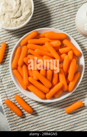 Orange Organic Raw Baby Carrots in a Bowl Stock Photo
