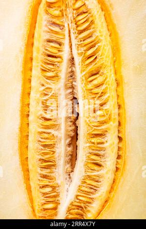 Large oval melon, cut half with seeds, close-up,, top view Stock Photo