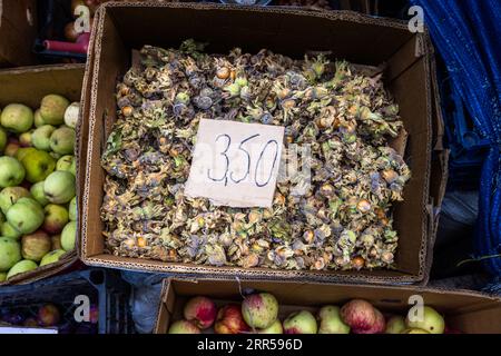 Fresh hazelnuts in their green-brown husks lie in a cardboard box at the Dezerter Bazaar (Deserters' Market) in Tbilisi, Georgia. A handwritten cardboard sign gives the price as 3.50. Crates of green and red apples stand to the left and below. The country is one of the world's five largest hazelnut producers. The main growing areas are Samegrelo and Guria. Hazelnuts or walnuts are the basis of churchkhela (Georgian ჩურჩხელა): the nuts are threaded onto a string, dipped several times into pelamushi, grape juice boiled down and thickened with flour, and then dried. It is the city's largest food  Stock Photo