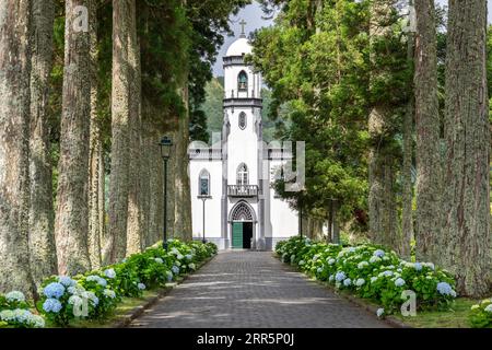 Igreja de São Nicolau or Saint Nicholas Church framed by plane trees and blooming hydrangea shrubs in the historic village of Sete Cidades, Sao Miguel, Azores, Portugal. The church, built in 1857 is located in the center of a massive volcanic crater three miles across. Stock Photo