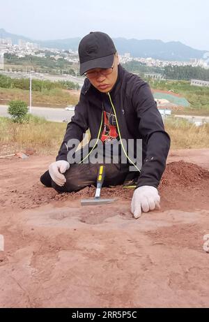 210112 -- FUZHOU, Jan. 12, 2021  -- A Chinese paleontologist conducts research on dinosaur footprints at Longxiang Village, Lincheng Township, Shanghang County, Longyan City of southeast China s Fujian Province, Nov. 8, 2020. A team of Chinese paleontologists has identified more than 240 fossilized dinosaur footprints in east China s Fujian, the first traces of dinosaur activity found in the province. The dinosaur track site in Shanghang County, covering an area of about 1,600 square meters, is the largest and the most diverse such site discovered in China dating back to the Upper Cretaceous p Stock Photo