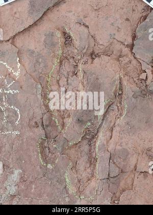 210112 -- FUZHOU, Jan. 12, 2021  -- A dinosaur footprint is seen at Longxiang Village, Lincheng Township, Shanghang County, Longyan City of southeast China s Fujian Province, Nov. 10, 2020. A team of Chinese paleontologists has identified more than 240 fossilized dinosaur footprints in east China s Fujian, the first traces of dinosaur activity found in the province. The dinosaur track site in Shanghang County, covering an area of about 1,600 square meters, is the largest and the most diverse such site discovered in China dating back to the Upper Cretaceous period, according to scientists. The Stock Photo
