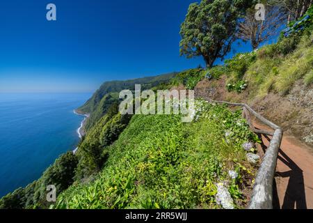 Hiking trail clinging to the cliffs edge framed by blooming hydrangea flowers at Sossego Viewpoint near Nordeste, Sao Miguel Island, Azores, Portugal. Stock Photo