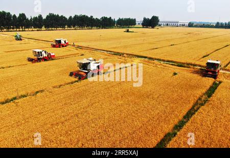 210118 -- BEIJING, Jan. 18, 2021 -- Aerial photo taken on June 12, 2020 shows farmers operating harvesters in wheat fields in Dafu Village, Xixindian Township, Botou City of north China s Hebei Province. China s gross domestic product GDP exceeded the 100-trillion-yuan 15.42 trillion U.S. dollars threshold as it posted a 2.3 percent year-on-year expansion to 101.5986 trillion yuan in 2020, data from the National Bureau of Statistics showed Monday. Mu Yu CHINA-ECONOMY-YEAR 2020 CN MouxYu PUBLICATIONxNOTxINxCHN Stock Photo