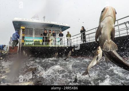 210118 -- BEIJING, Jan. 18, 2021 -- Photo taken on Dec. 1, 2020 shows fish harvested from the Qiandao Lake in Chun an County, east China s Zhejiang Province. China s gross domestic product GDP exceeded the 100-trillion-yuan 15.42 trillion U.S. dollars threshold as it posted a 2.3 percent year-on-year expansion to 101.5986 trillion yuan in 2020, data from the National Bureau of Statistics showed Monday.  CHINA-ECONOMY-YEAR 2020 CN XuxYu PUBLICATIONxNOTxINxCHN Stock Photo