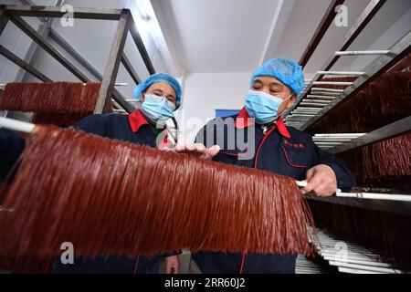 210120 -- RONGSHUI, Jan. 20, 2021 -- Lan Shengkui R checks noodles made with red sorghum flour at a noodles processing factory in Liuzhou, south China s Guangxi Zhuang Autonomous Region, Jan. 17, 2021. Wuying Village suffers from harsh environment and low agricultural yields, making it one of the most impoverished counties in Guangxi. In the summer of 2020, Lan Shengkui, a retired agricultural expert in variety improvement from Liuzhou Agricultural Science Institute, has come up with red sorghum, a crop that has strong tolerance to drought and barren soil, and provided it to farmers in Wuying Stock Photo