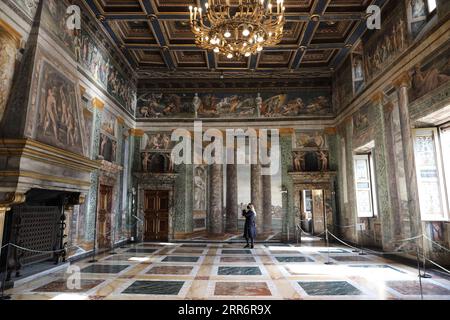 210226 -- ROME, Feb. 26, 2021 -- A woman wearing a face mask visits the Villa Farnesina in Rome, Italy, Feb. 25, 2021. With the easing of coronavirus restrictions, museums and cultural sites reopened from Feb. 1 in most of Italy with new health-monitoring protocols. The only thing missing were the tourists. There were multiple factors behind the low visitor numbers, according to media reports, ranging from economic hardship to health worries to the fact that tickets have to be bought ahead of time online. But the biggest factor was clearly the lack of tourists due to coronavirus fears and inte Stock Photo