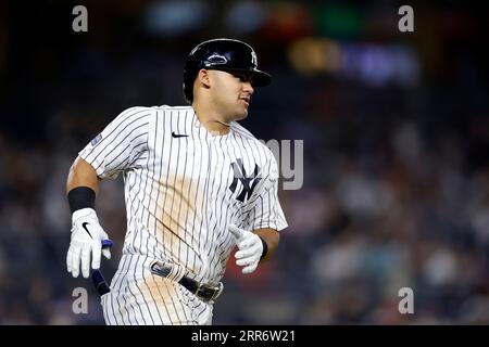 Jasson Domínguez of the Hudson Valley Renegades poses for a portrait  News Photo - Getty Images