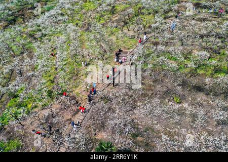 Aerial photo shows the early spring scenery of terraced fields in ...