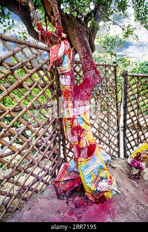 Sindoor on a tree inside Nidhivan. It is one of the Most holy, mysterious and Sacred Place for Hindu people in the holy city of Vrindavan. Stock Photo