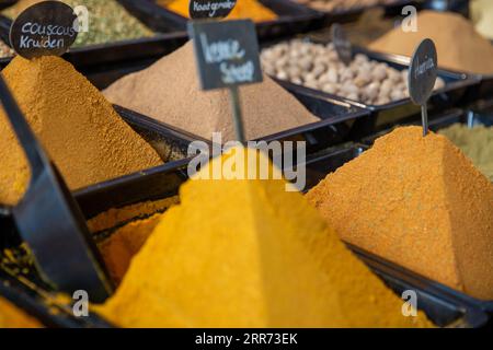 Pyramids of different types of Seasonings Stock Photo