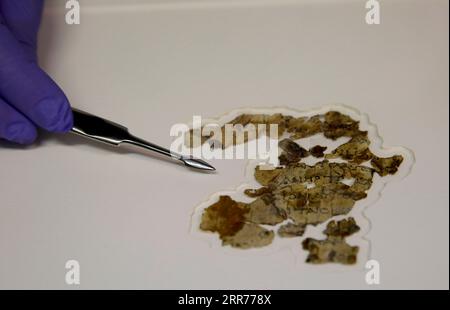 Bilder des Jahres 2021, News 03 März News Themen der Woche KW11 News Bilder des Tages 210317 -- JERUSALEM, March 17, 2021 -- Fragments of the new discovered Dead Sea Scroll are seen in a lab in the Israel Museum in Jerusalem on March 16, 2021. Israeli archaeologists have discovered dozens of fragments of a biblical scroll written in Greek in the Cave of Horror near the Dead Sea. Photo by /Xinhua MIDEAST-JERUSALEM-ARCHAEOLOGY-DEAD SEA SCROLL GilxCohenxMagen PUBLICATIONxNOTxINxCHN Stock Photo