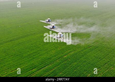 210317 -- BEIJING, March 17, 2021 -- Tractors spray pesticide in the wheat fields in Wanggang Town, Yingshang County of east China s Anhui Province, March 6, 2021.  Xinhua Headlines: China s spring farming goes high-tech to ensure food security HuangxBohan PUBLICATIONxNOTxINxCHN Stock Photo