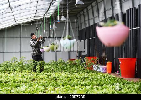 210317 -- BEIJING, March 17, 2021 -- A staff member checks sprayers inside a smart greenhouse of Shuangfeng farm in northeast China s Heilongjiang Province, March 5, 2021.  Xinhua Headlines: China s spring farming goes high-tech to ensure food security WangxJianwei PUBLICATIONxNOTxINxCHN Stock Photo
