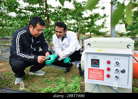 210318 -- XI AN, March 18, 2021 -- Abdul Ghaffar Shar R talks with staff member Li Haiping about greenhouse equipment at a cooperative of Yangling agricultural hi-tech industrial demonstration zone in northwest China s Shaanxi Province, March 17, 2021. Abdul Ghaffar Shar, 30, is a Pakistani doctoral student in China s Northwest Agriculture and Forestry University NWAFU. Shar is doing plant nutrition research for his doctoral degree. After receiving his bachelor s degree in agriculture from Sindh Agriculture University in Pakistan in 2014, Shar decided to further his studies in China s NWAFU. S Stock Photo