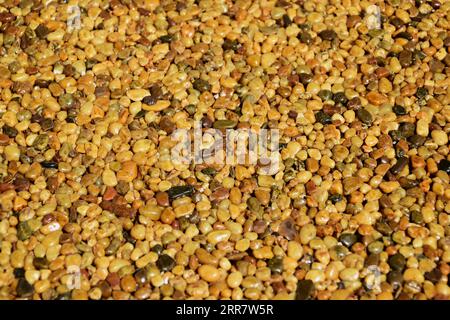 macro detail of yellow brown shiny small pebble textured sealed flooring. wet look. closeup view. texture and pattern. exterior construction material. Stock Photo